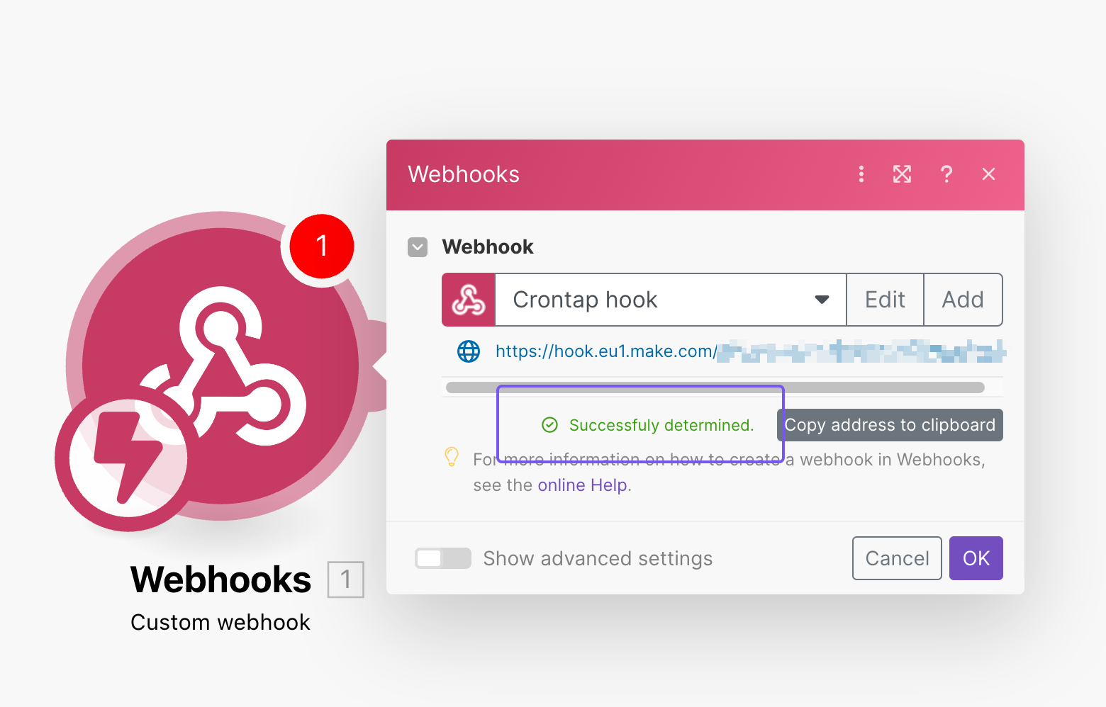 Webhook structure Successfully determined in make.com